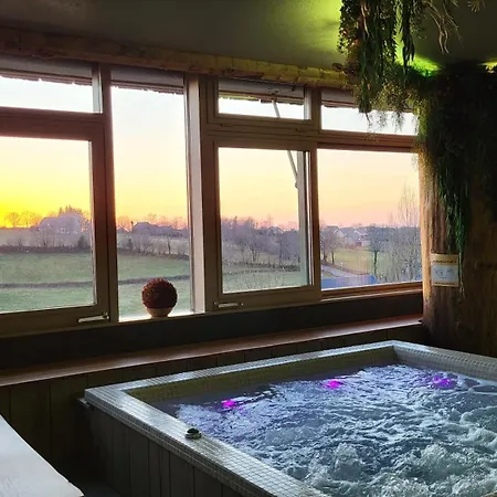 Logis Restaurant & Les Remparts 3* 萨莱